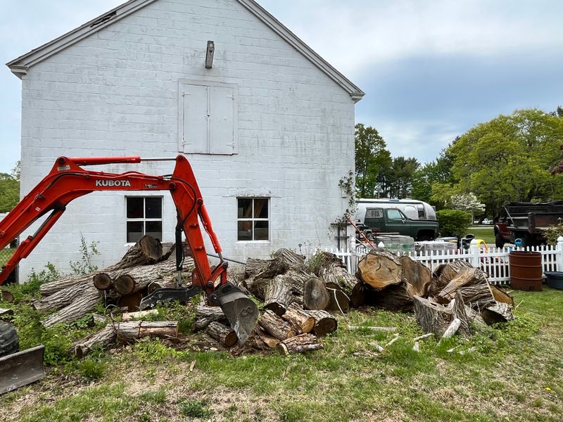 Debris Removal