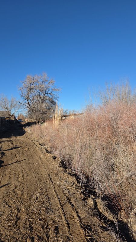 Site Preparation