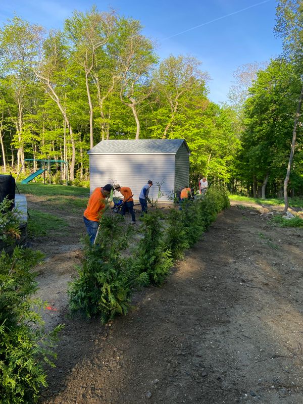 Landscaping