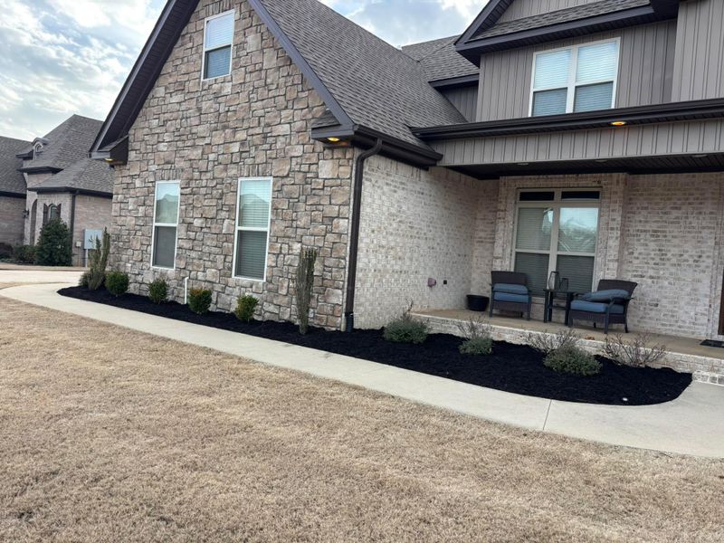 Landscape And Design