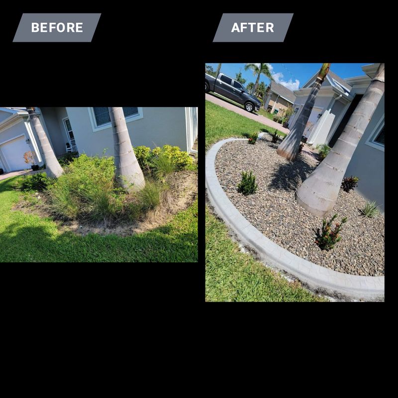 New Landscape Before and After