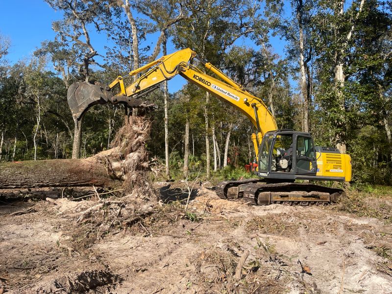 Tree Removal