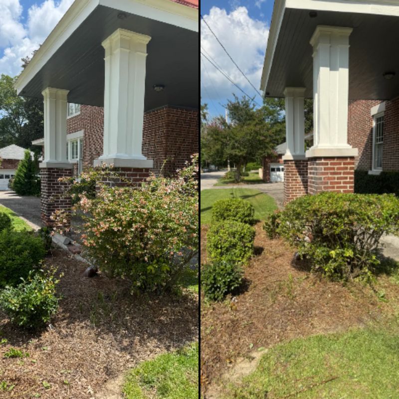 Lawn Care