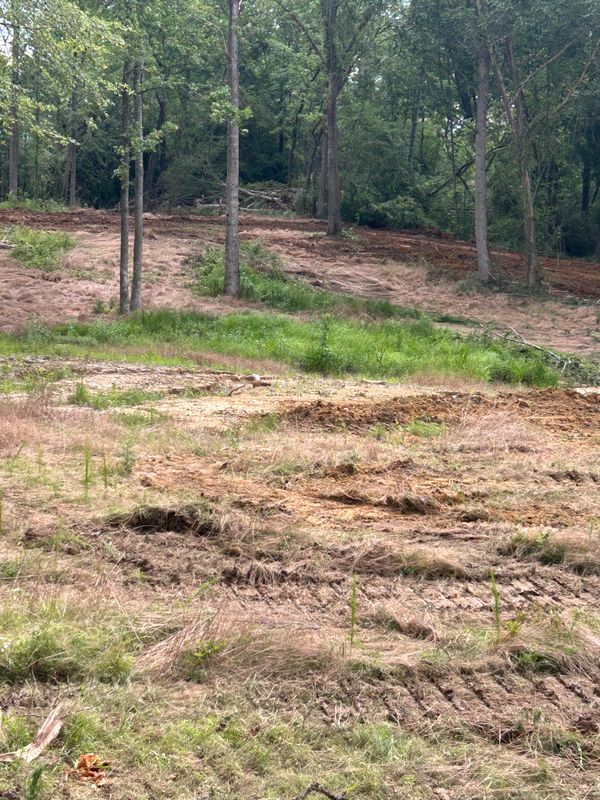 Land Clearing