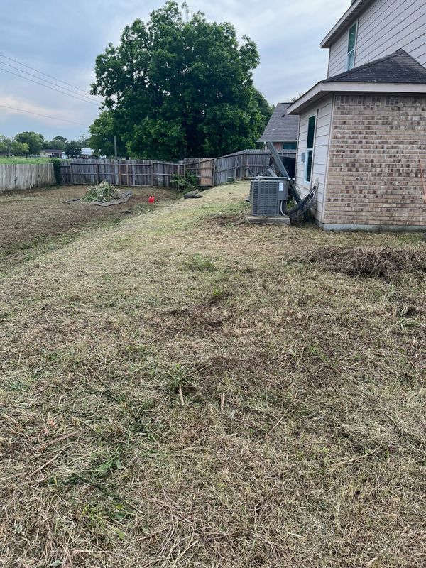 Lawn and Yard Maintenance