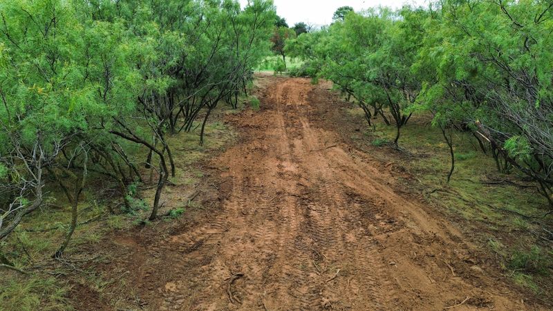 Wichita Falls Land Clearing Job