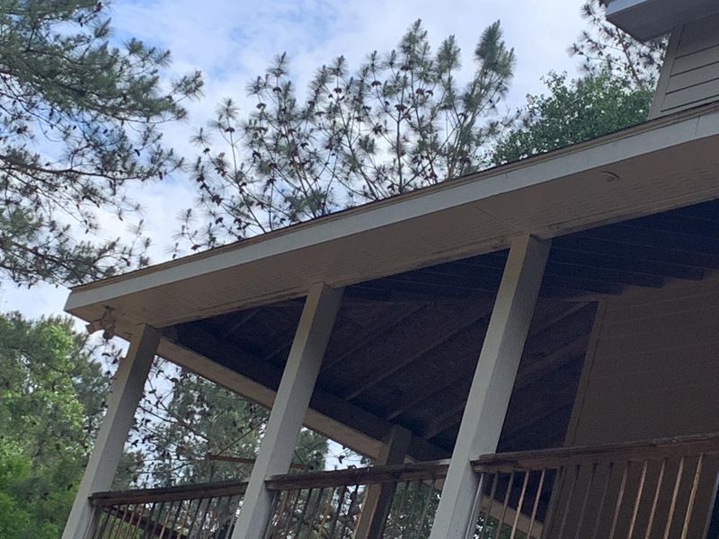 Deck Cleaning