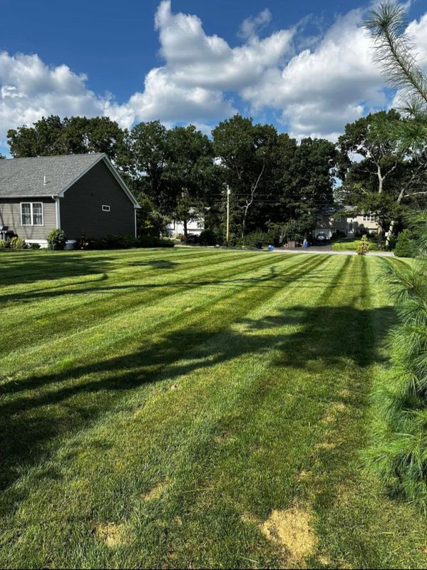 Lawn Maintenance