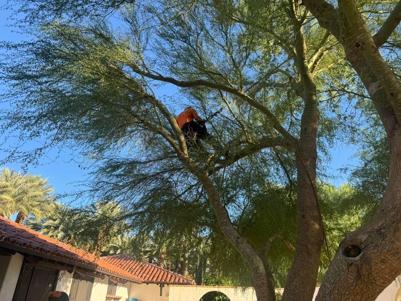 Property Beautification