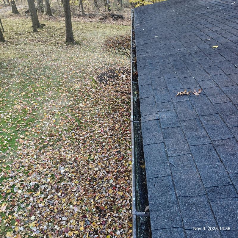 Gutter Cleaning