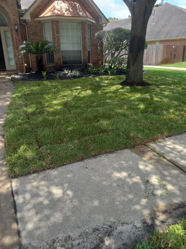 Landscaping Designs