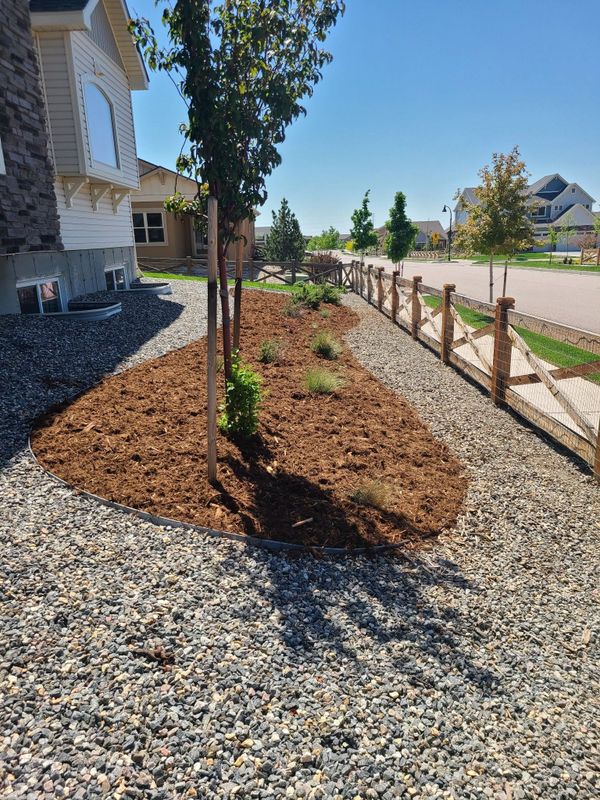 Tree & Shrub Care