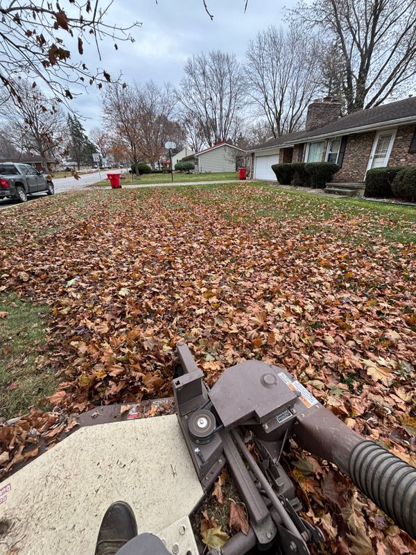 Fall Clean Up