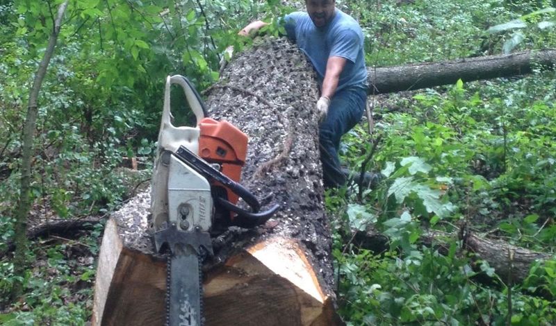 Logging