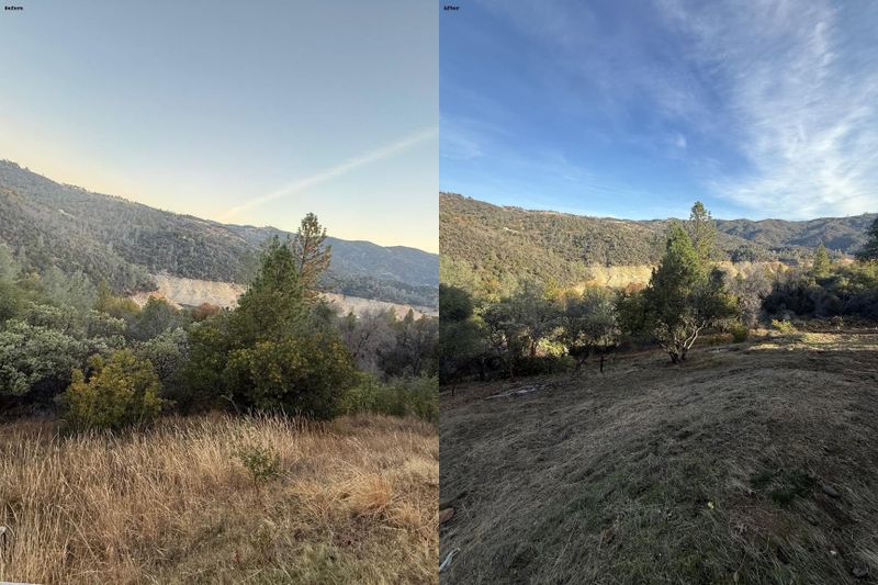 Fire Abatement