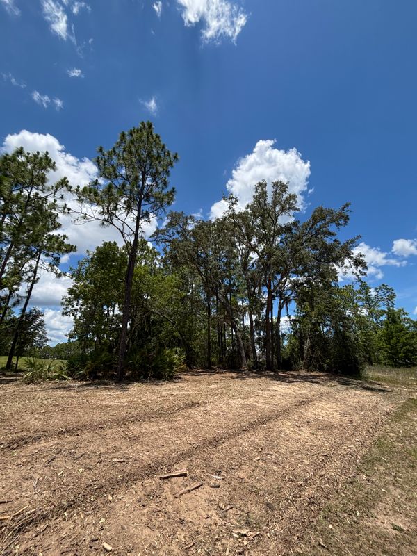 Forestry Mulching