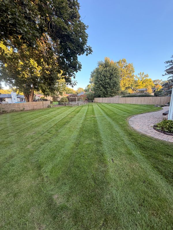 Paver Patios