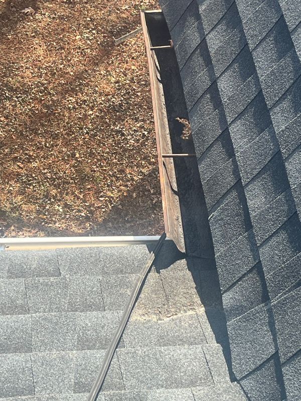 Gutter Cleaning