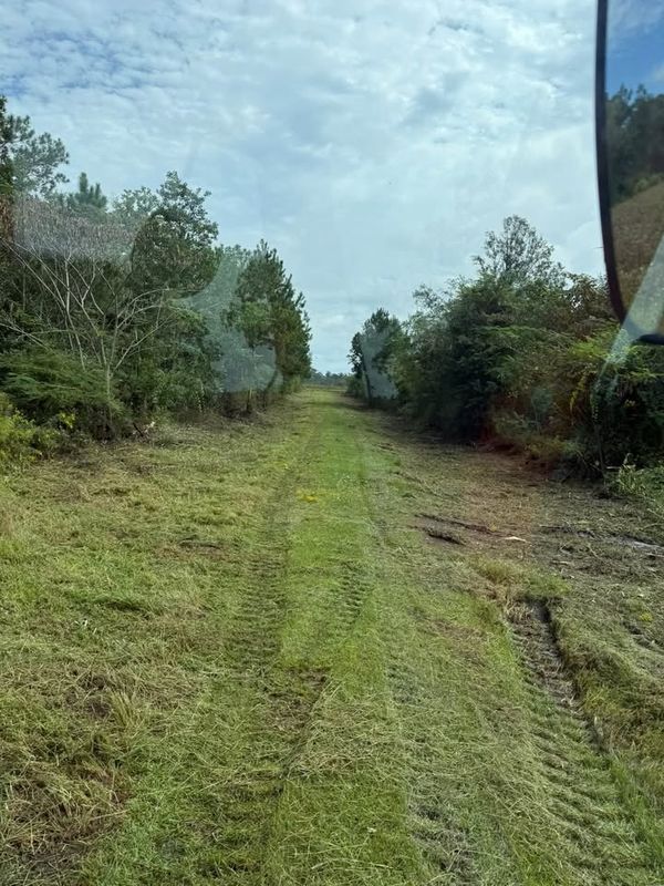 Forestry Mulching