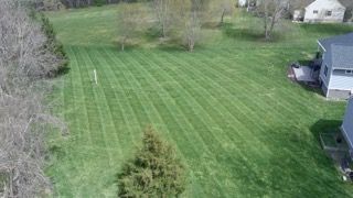 Lawn Maintenance