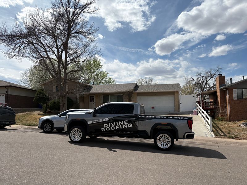 Roof Completions