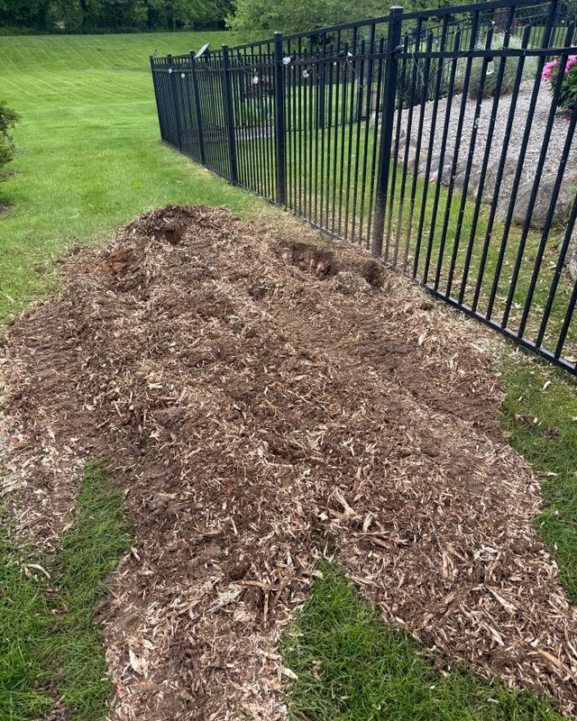 Stump Grinding