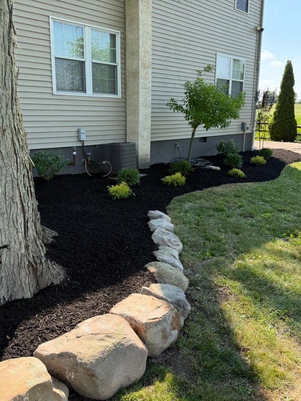 Landscape Design & Installation