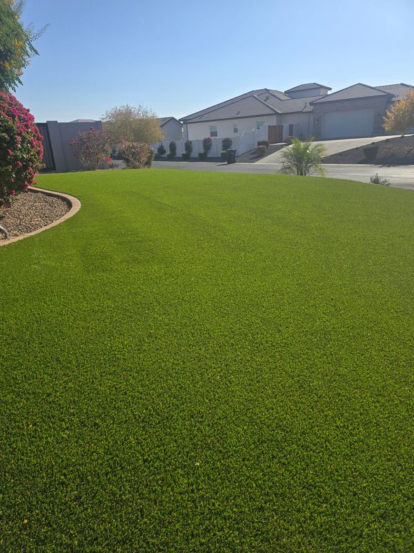 Artificial Turf Installation