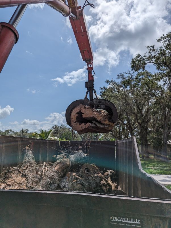 Debris Removal