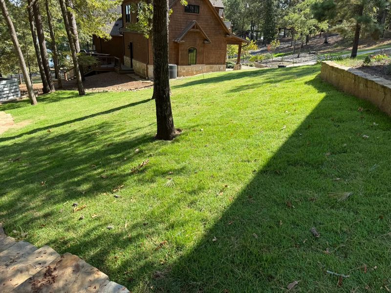 Sod Installation
