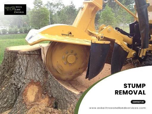 Stump Removal
