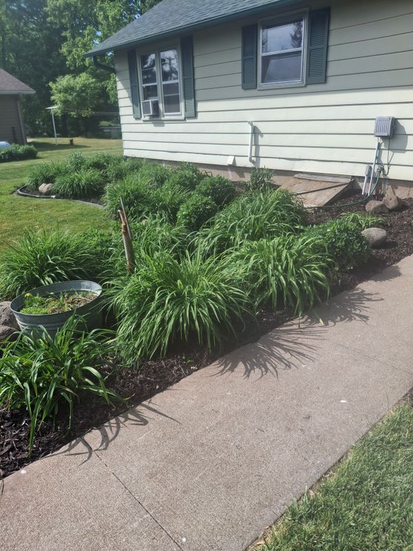 Landscape Design