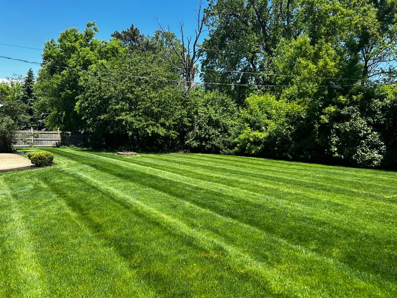 Lawn Maintenance