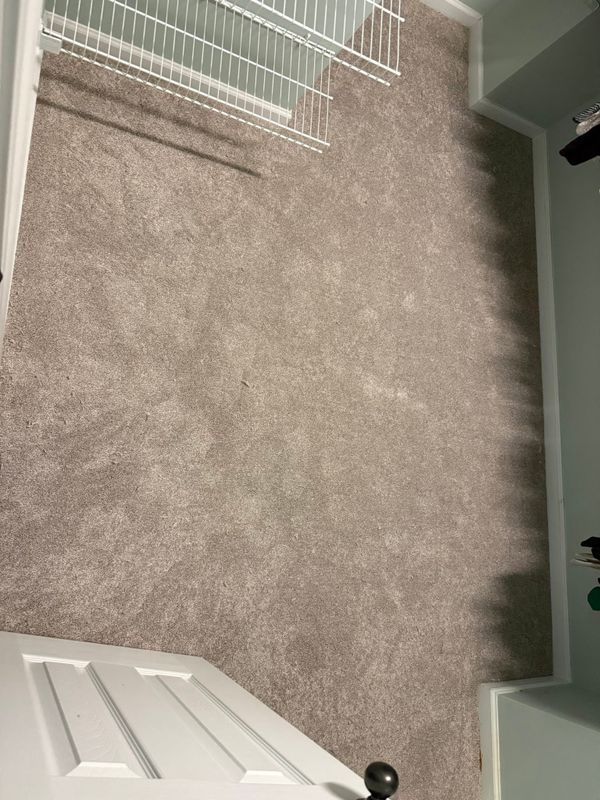 Carpet Installation and Replacement