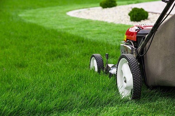 Mowing & Trimming