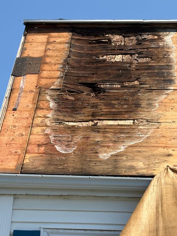 Roofing Repairs