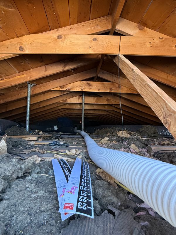 Free Attic Inspections