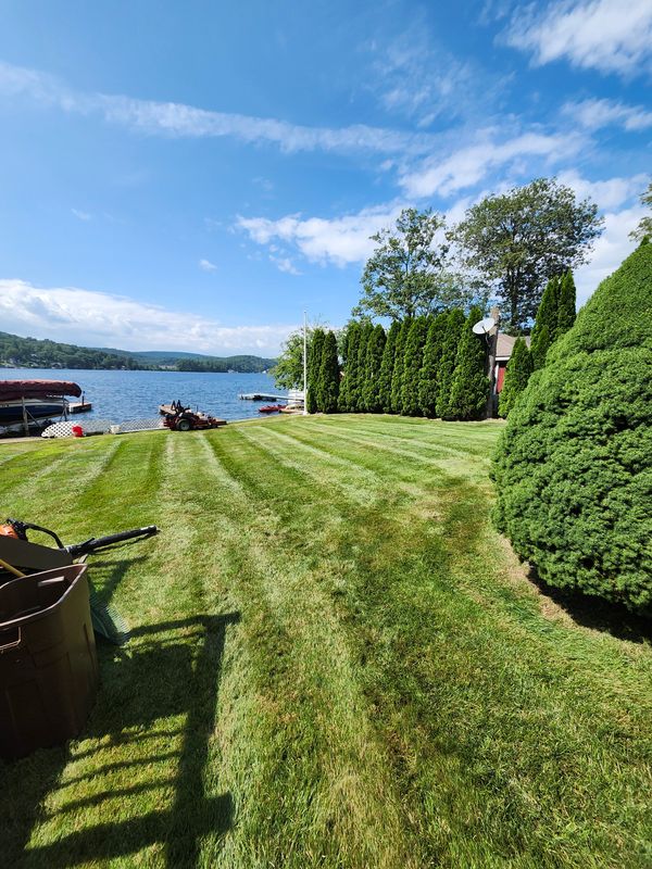 Lawn Mowing