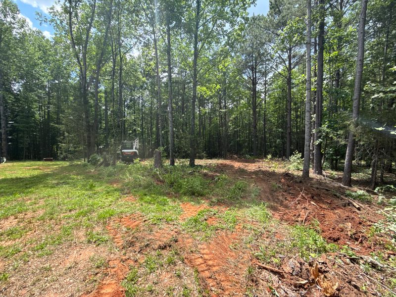 Land Clearing