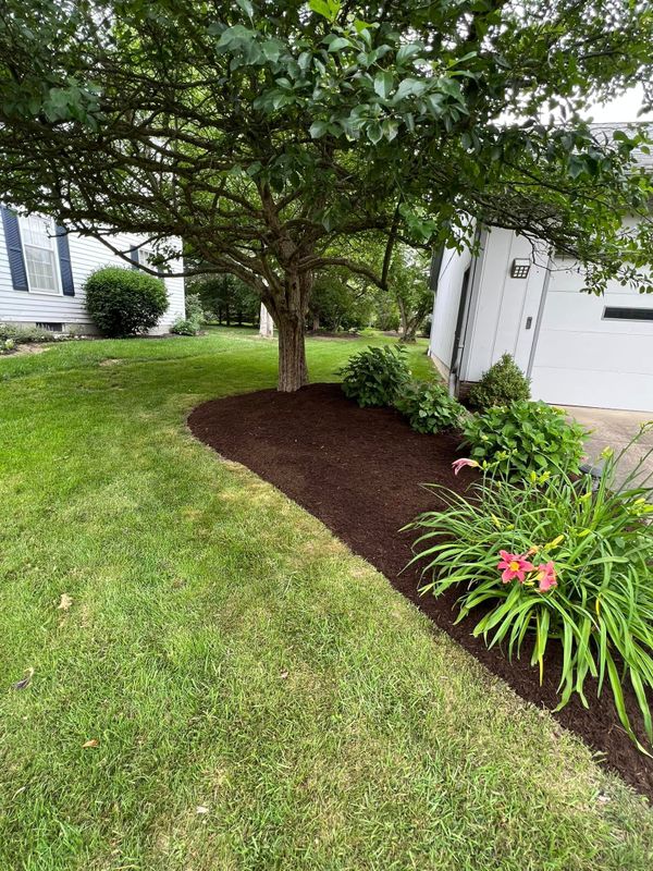 Landscaping
