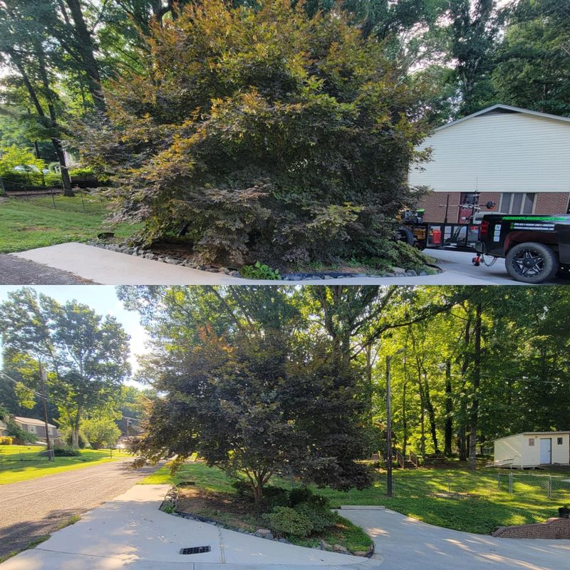 Before and After