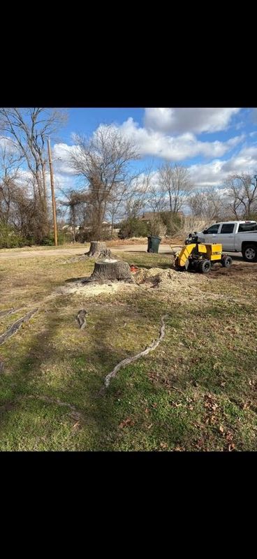 Stump Removal