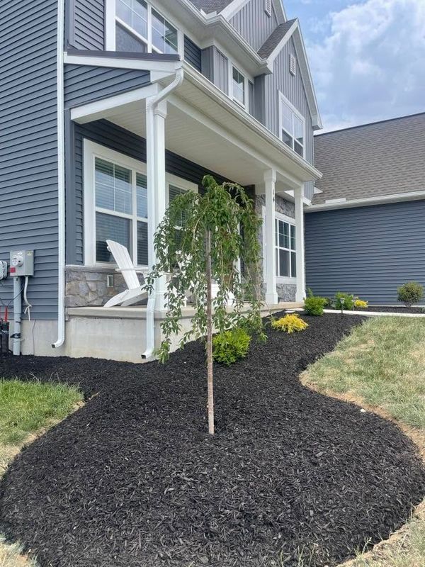Landscape Design