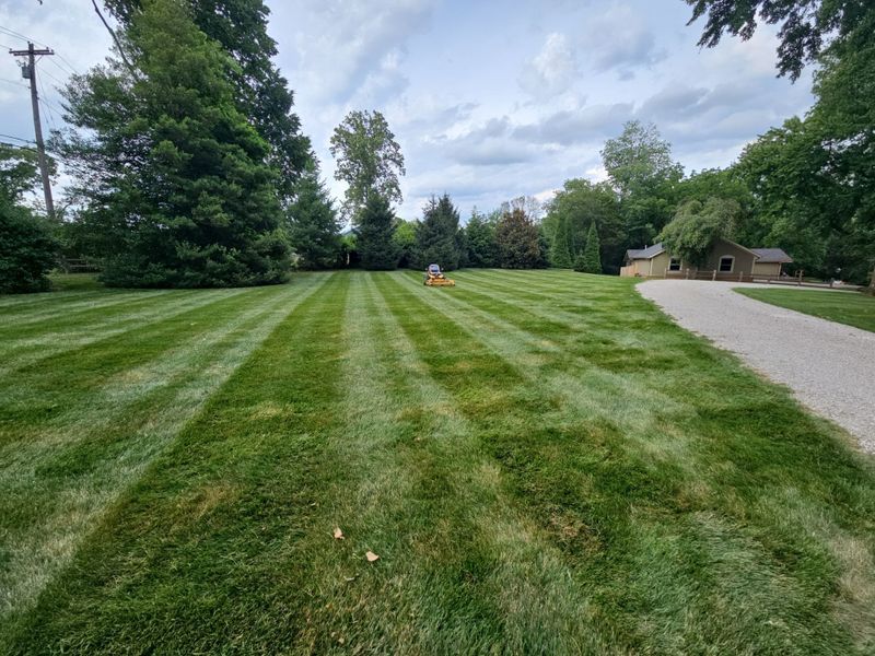 Lawn Maintenance