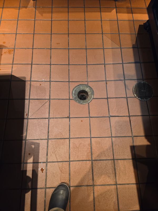 Kitchen Plumbing