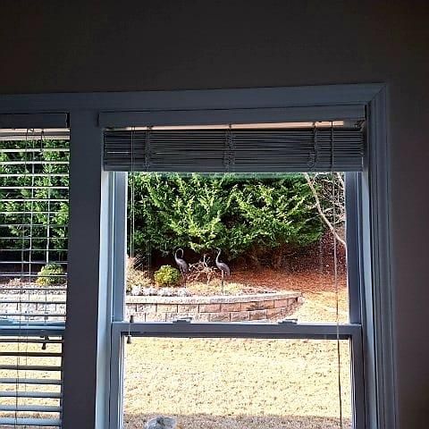 Window Glass Replacement