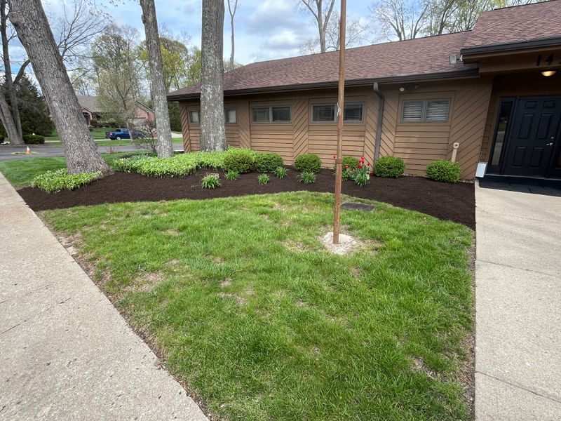 Landscape Installation