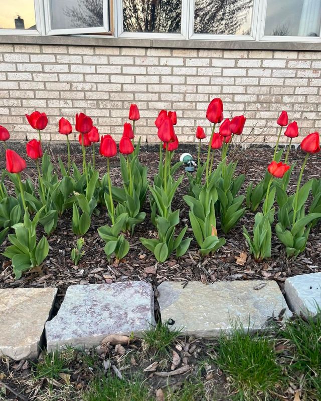 Decorative Stone