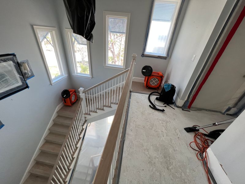 Mold Remediation gallery
