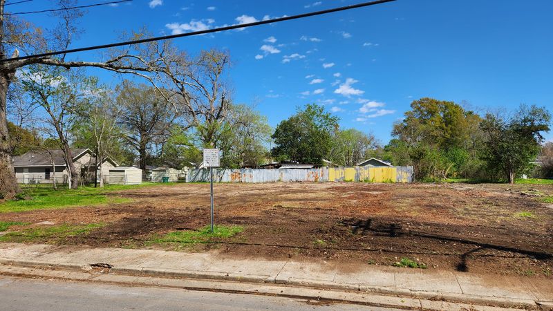Tree Removal gallery